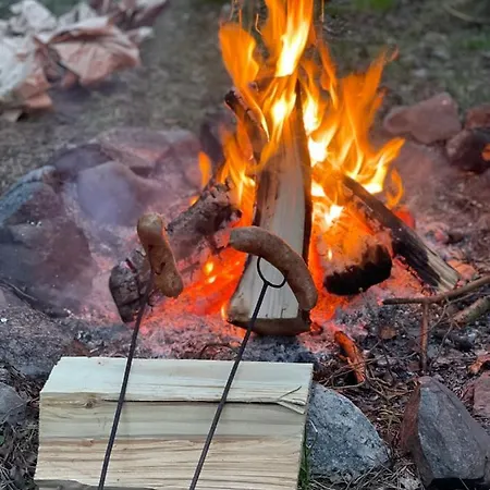 Affittacamere Dziupla 3*