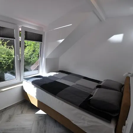 Dziupla Guest house *