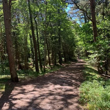 Vendégház Dziupla Dębki