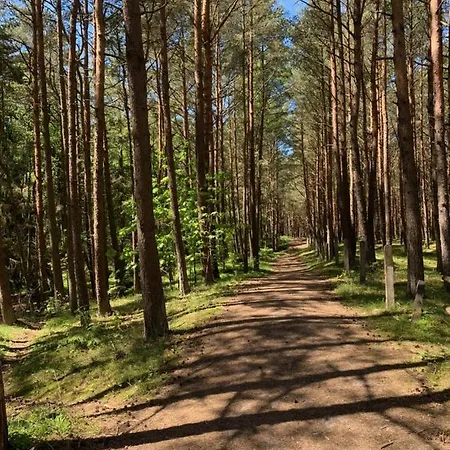 Pensjonat Dziupla Dębki