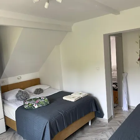 Dziupla Guest house *