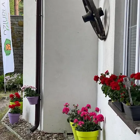 Guest house Dziupla