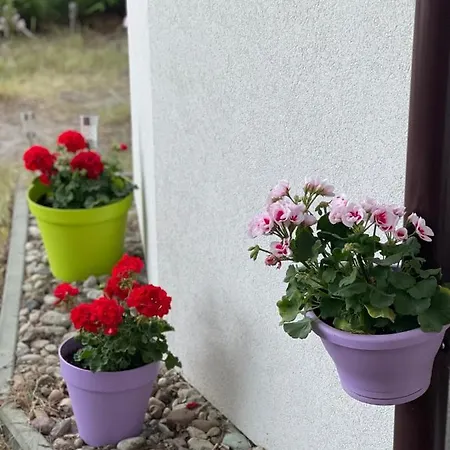 Dziupla Vendégház 3*