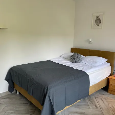 Dziupla Guest house