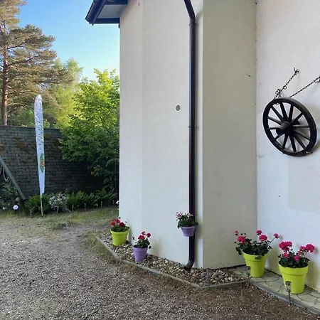 Dziupla Guest house