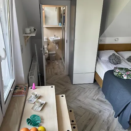 Dziupla Guest house *