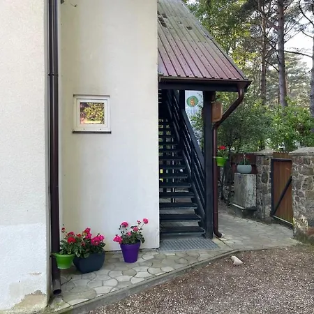 Guest house Dziupla