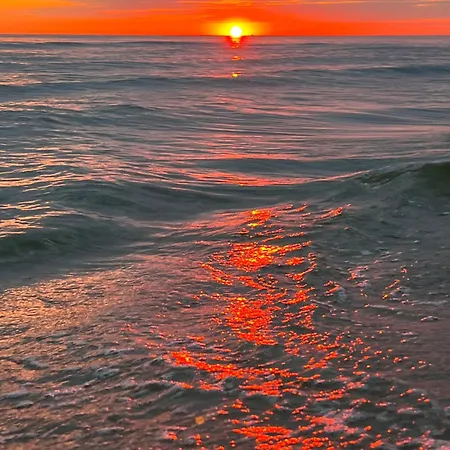 Affittacamere Dziupla 3*