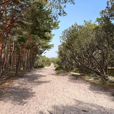 Vendégház Dziupla Dębki