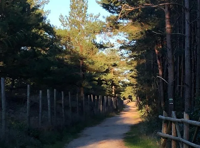 Pensión Dziupla Dębki