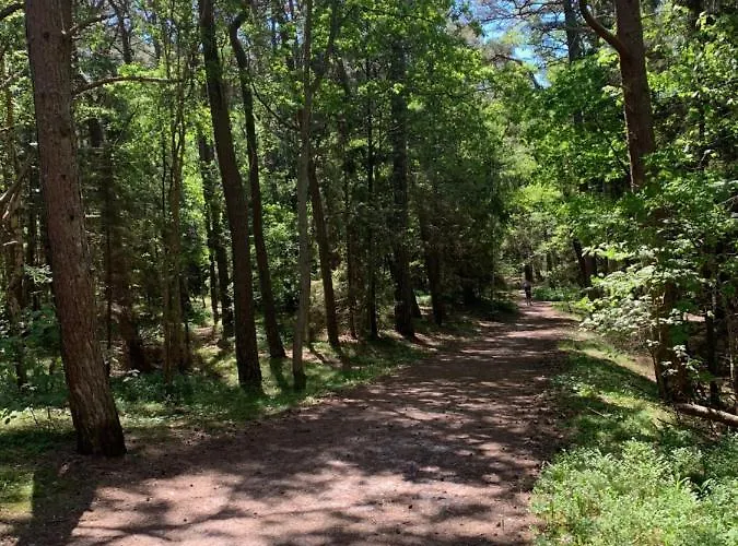 Pensión Dziupla Dębki