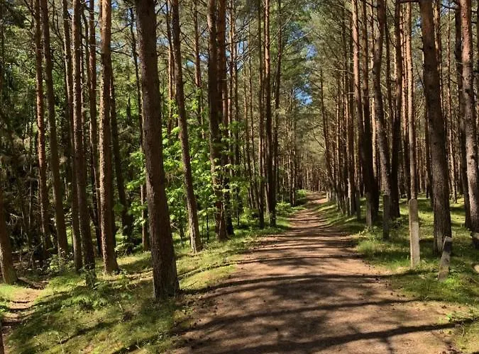 Гостевой дом Dziupla Дембки