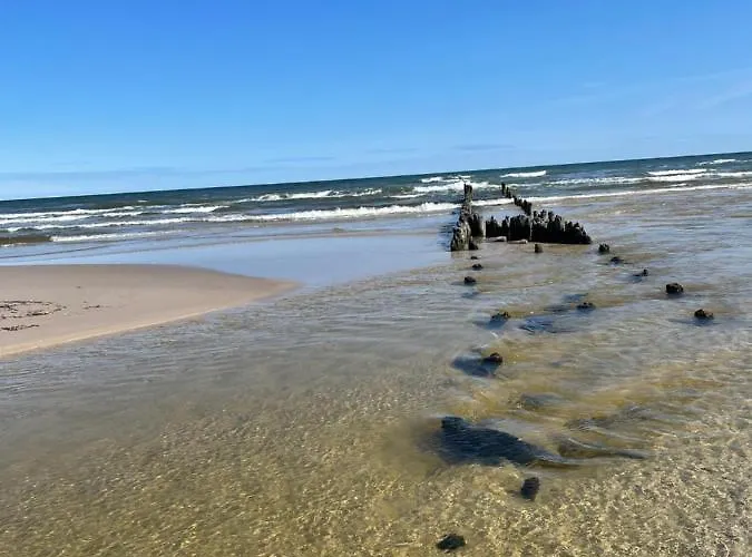 Dziupla Гостевой дом Дембки