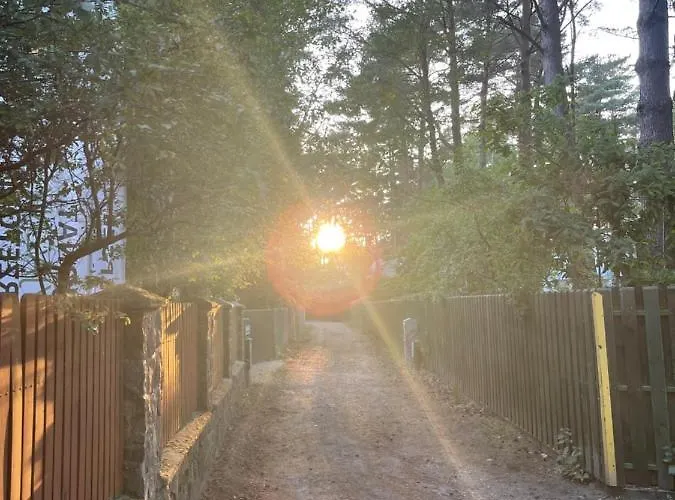 Dziupla 3* Дембки