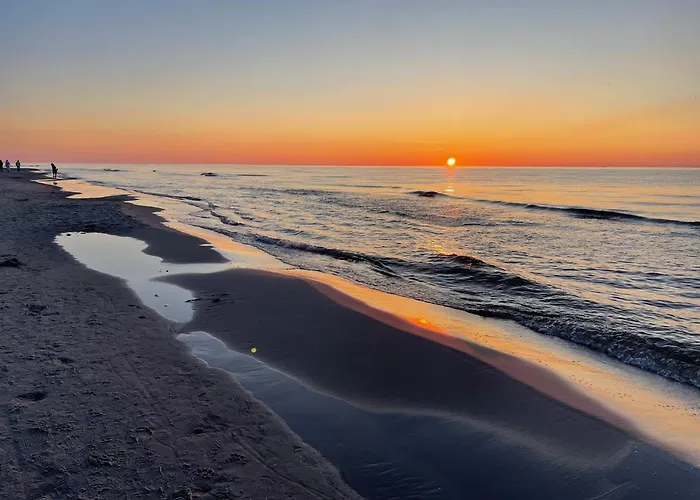 Гостевой дом Dziupla