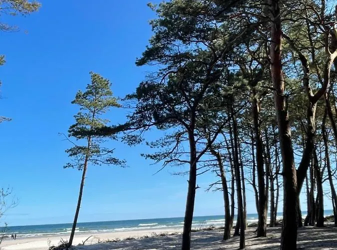 Гостевой дом Dziupla 3*