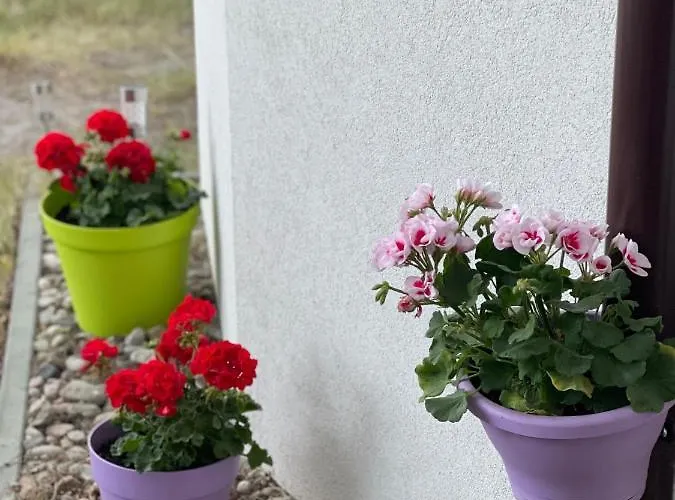 Dziupla Гостевой дом 3*