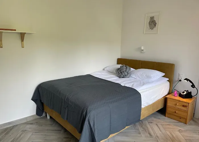 Dziupla Гостевой дом