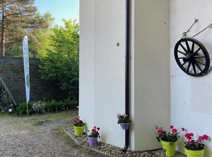 Dziupla Гостевой дом