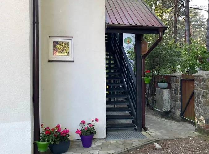 Гостевой дом Dziupla