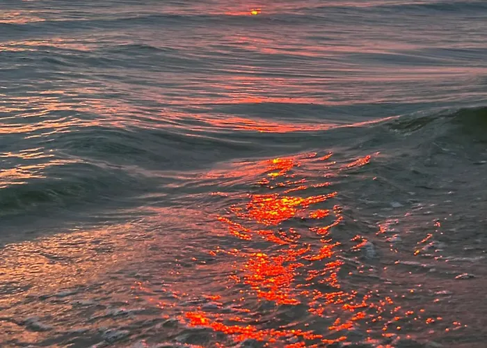 Гостевой дом Dziupla 3*