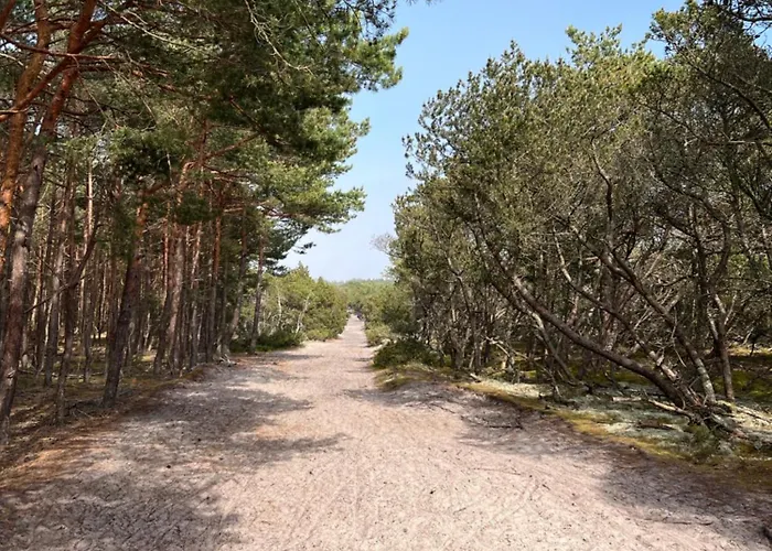 Pensión Dziupla Dębki