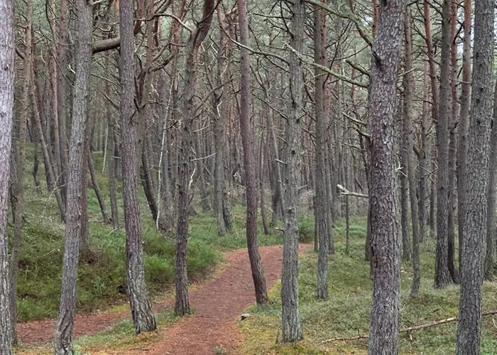 Dziupla Дембки